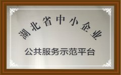 ʡСIʾƽ_
